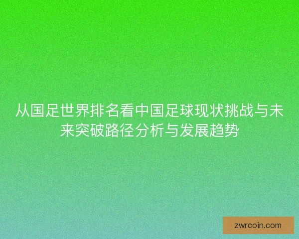 从国足世界排名看中国足球现状挑战与未来突破路径分析与发展趋势