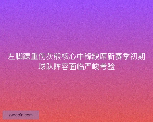 左脚踝重伤灰熊核心中锋缺席新赛季初期球队阵容面临严峻考验